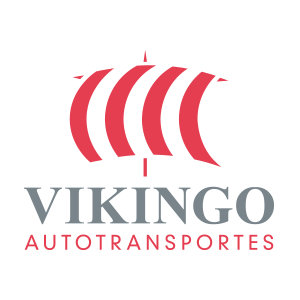 Logo vikingo - HG Agencia Aduanal